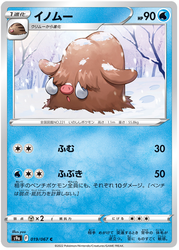 019/067 Piloswine