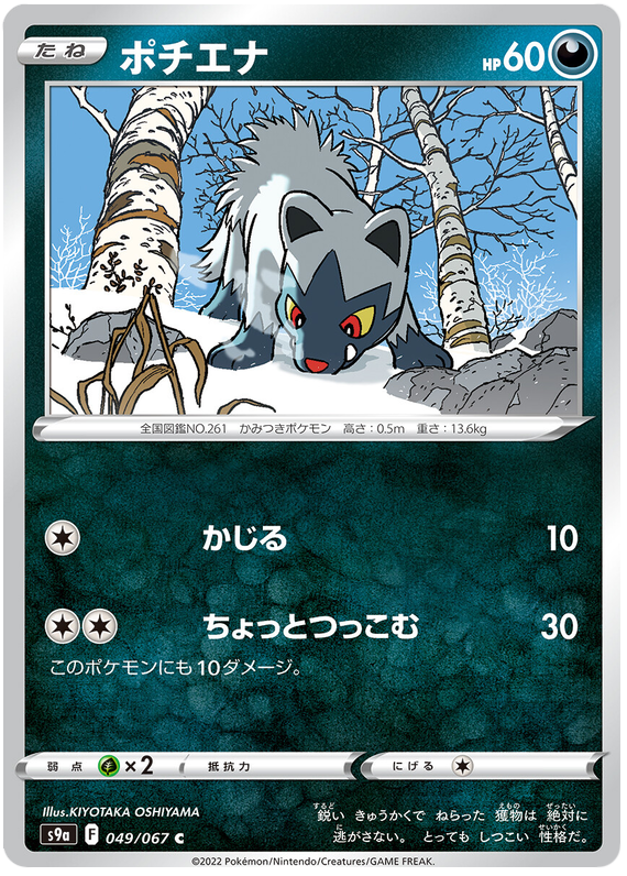 049/067 Poochyena