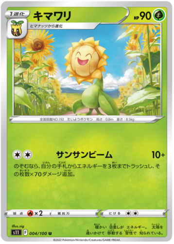 004/100 Sunflora
