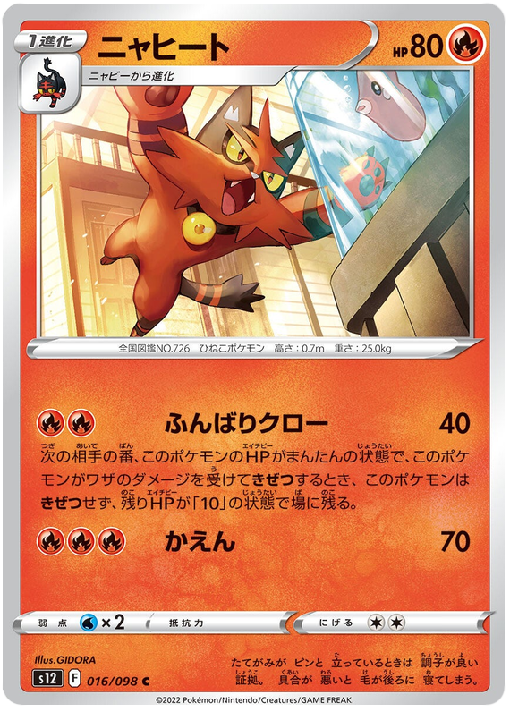 016/098 Torracat