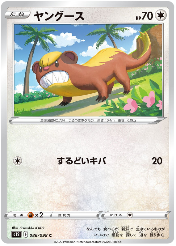 086/098 Yungoos