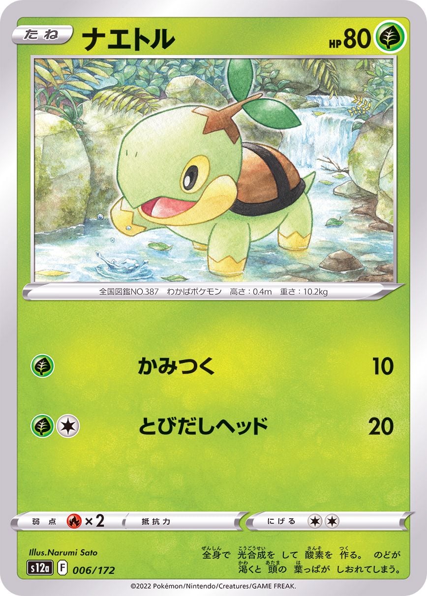 006/172 Turtwig