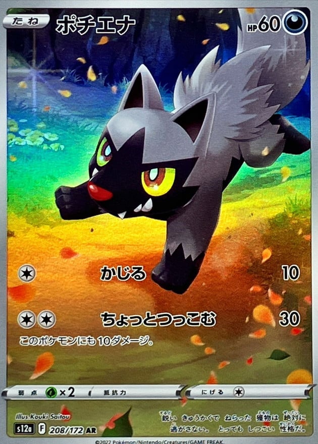 208/172 Poochyena