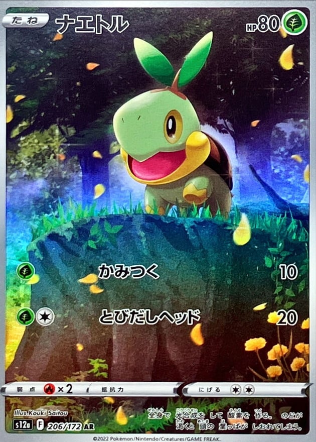 206/172 Turtwig