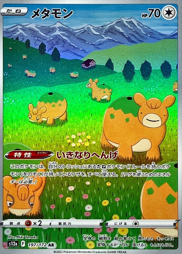 197/172 Ditto