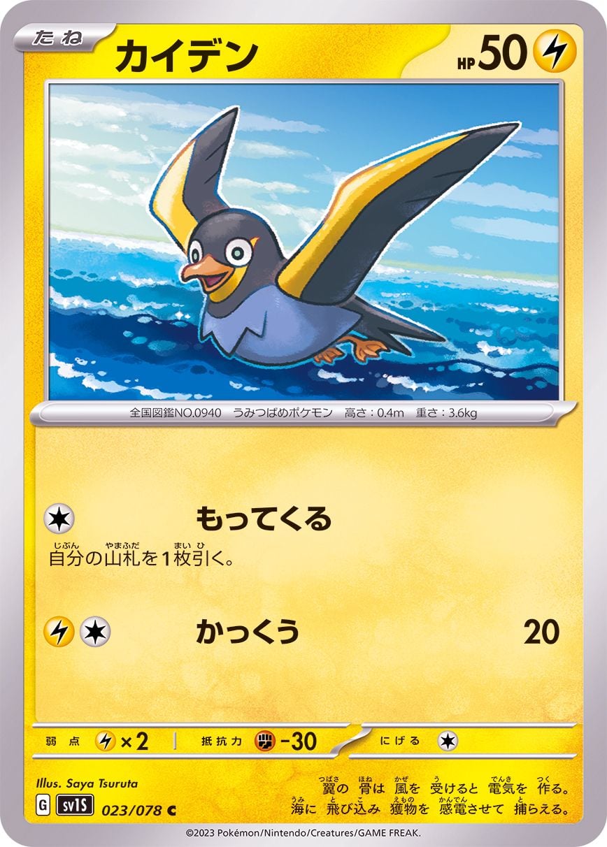 023/078 Wattrel