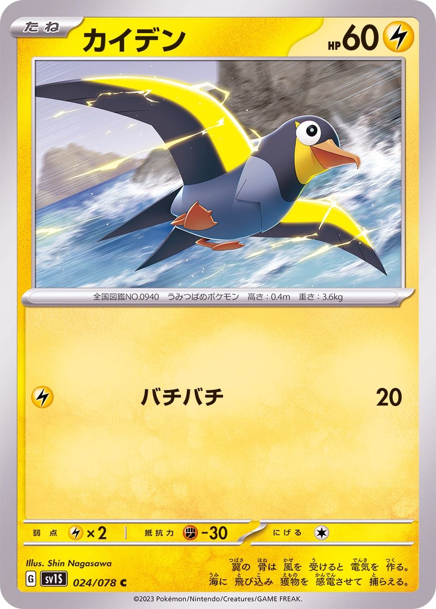 024/078 Wattrel