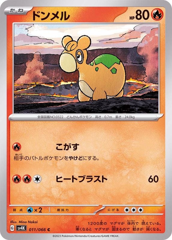 011/066 Numel