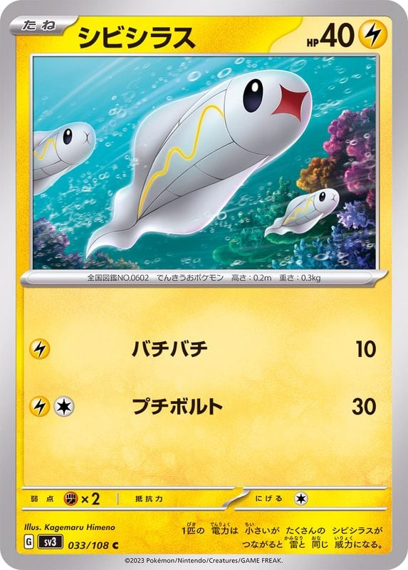 033/108 Tynamo