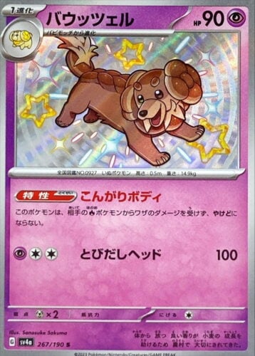267/190 Dachsbun