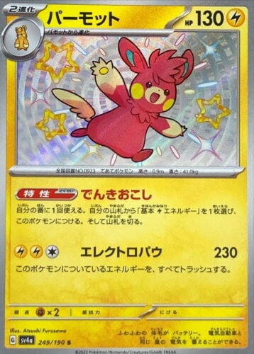 249/190 Pawmot