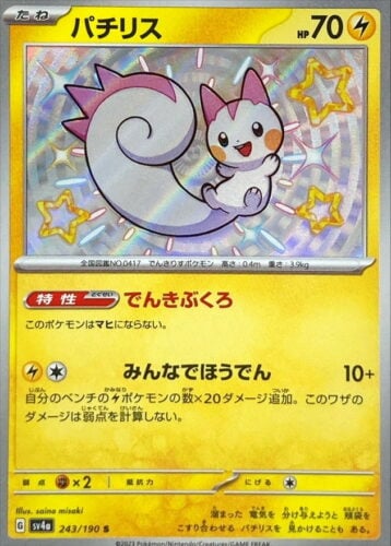 243/190 Pachirisu