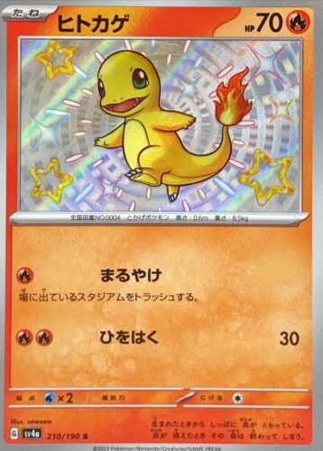 210/190 Charmander