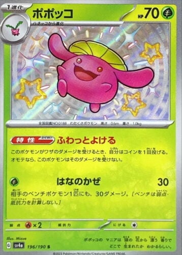 196/190 Skiploom