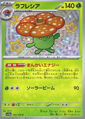 193/190 Vileplum