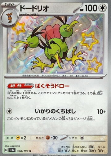 308/190 Dodrio