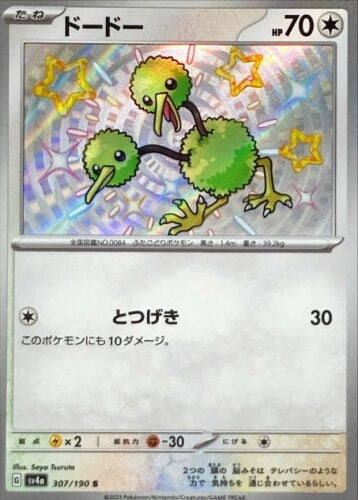 307/190 Doduo