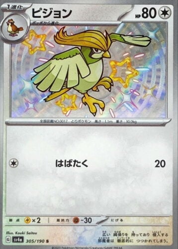 305/190 Pidgeotto