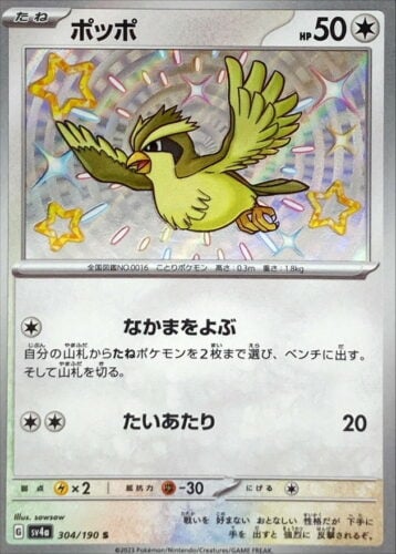304/190 Pidgey