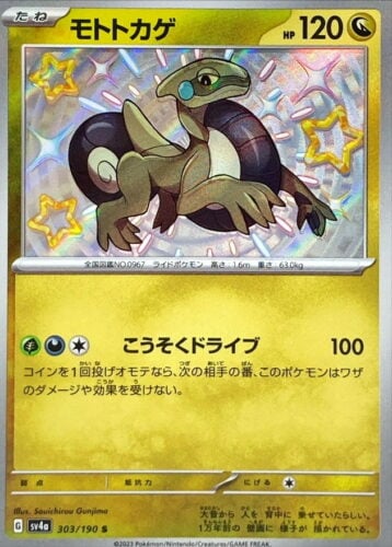 303/190 Cyclizar