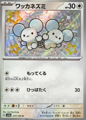 317/190 Tandemaus