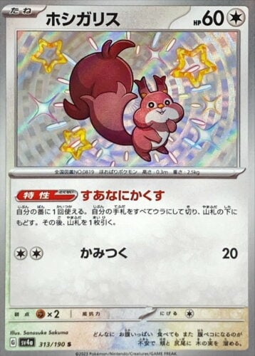 313/190 Skwovet