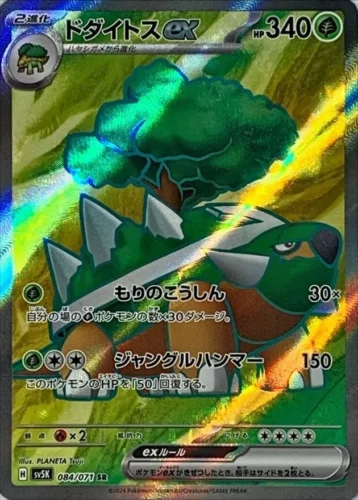 084/071 Torterra Ex