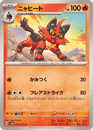 021/071 Torracat