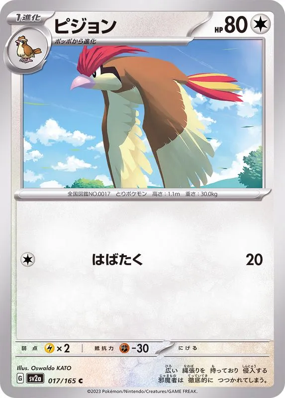 017/165 Pidgeotto
