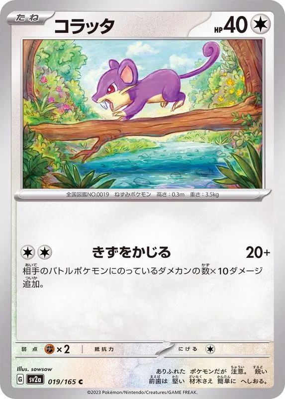 019/165 Rattata