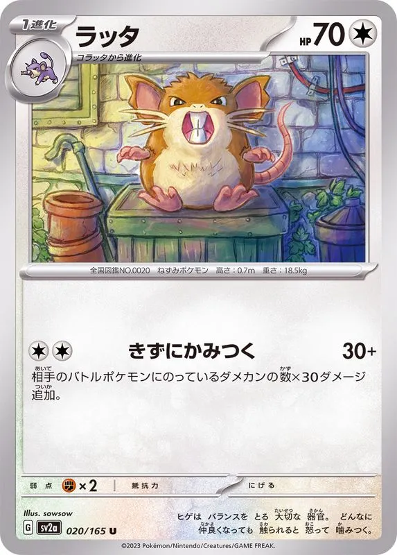 020/165 Raticate