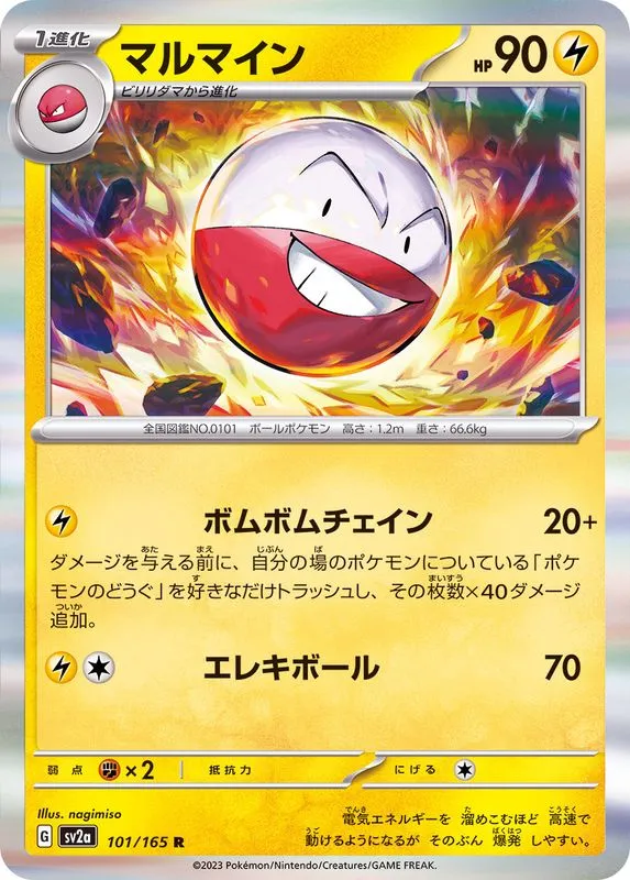101/165 Electrode