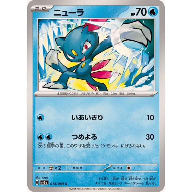 Night Wanderer Card List [94 cards] Fuji Card Shop