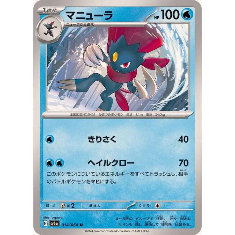 Night Wanderer Card List [94 cards] Fuji Card Shop