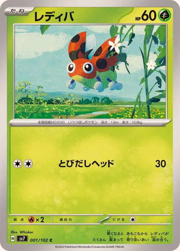001/102 Ledyba