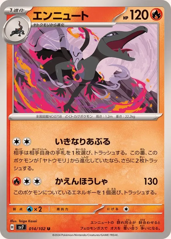 014/102 Salazzle