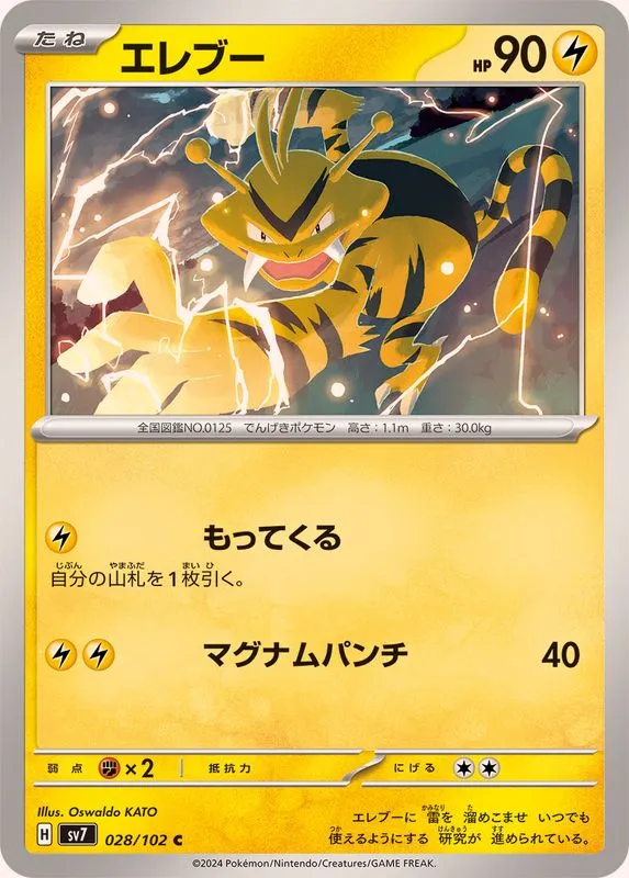 028/102 Electabuzz