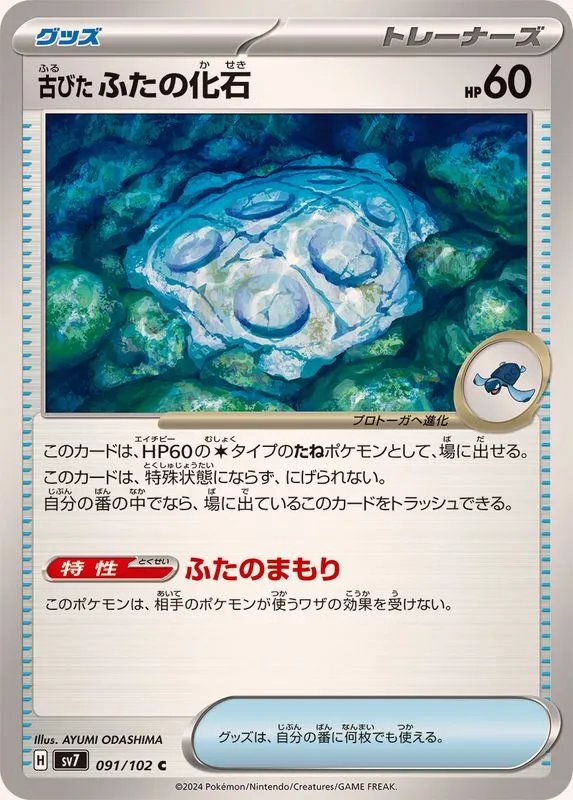 091/102 Cover Fossil