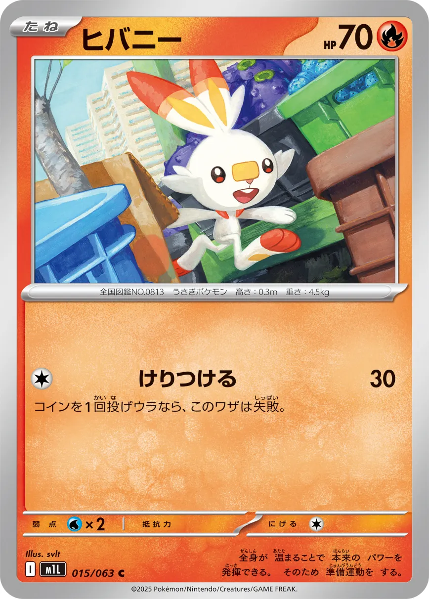 015/063 Scorbunny