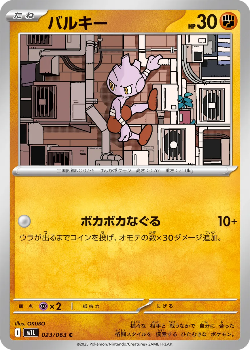 023/063 Tyrogue