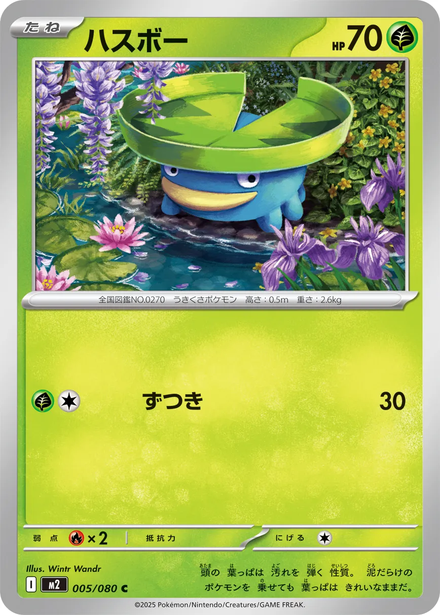 005/080 Lotad