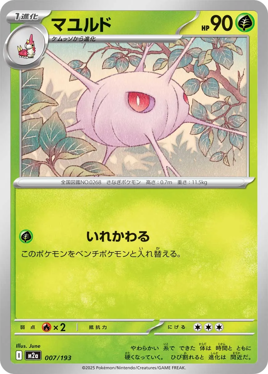 007/193 Cascoon