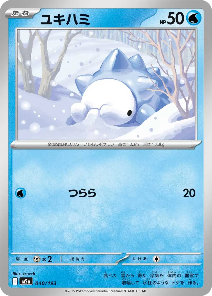 040/193 Snom