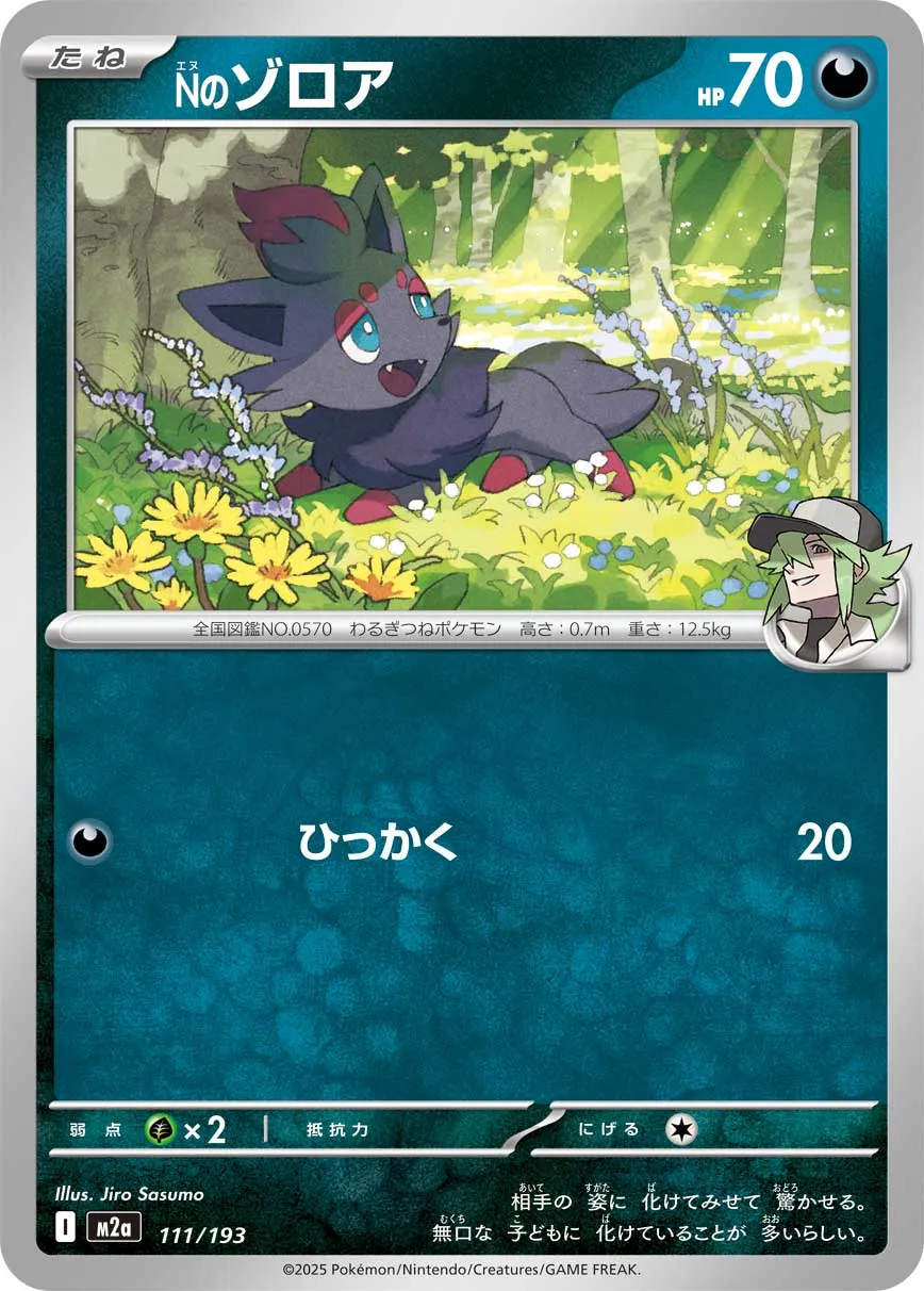 111/193 N's Zorua