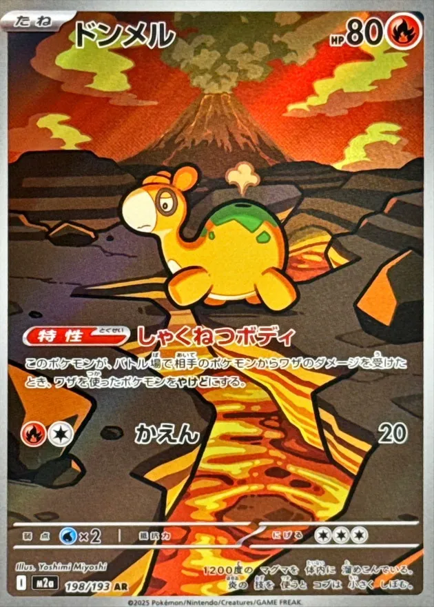198/193 Numel