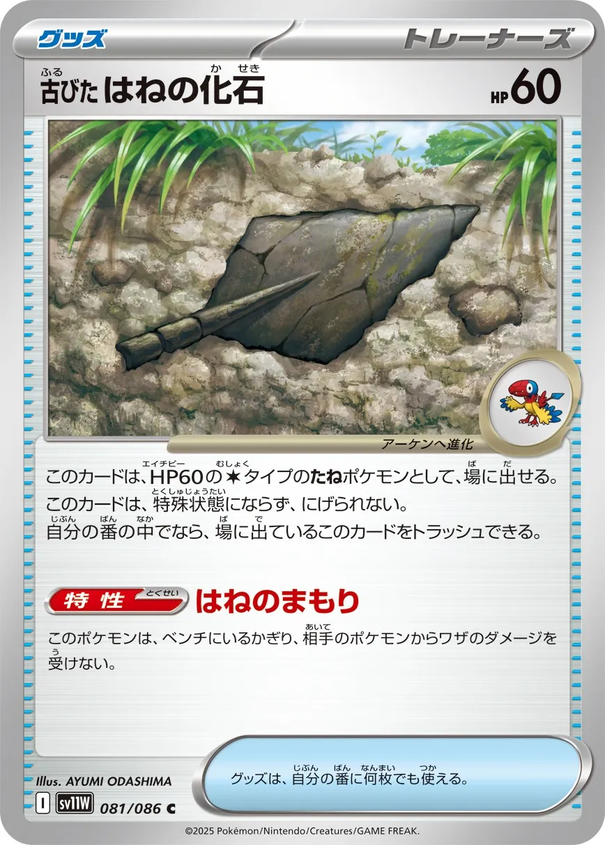 081/086 Antique Plume Fossil