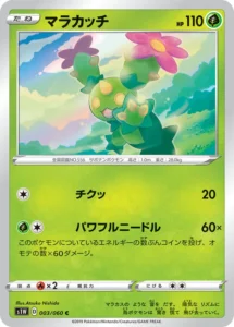003/060 Maractus