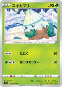 005/070 Snover