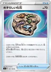 091/100 Rare Fossil