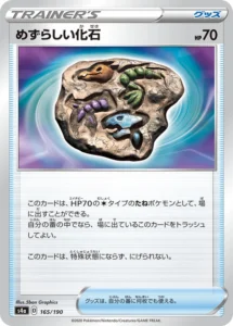165/190 Rare Fossil